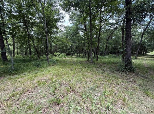 0000 County Road 1130, Lone Oak, TX 75453