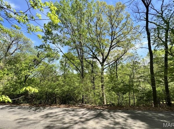 1032 Chesterfield Forest, Wildwood, MO 63005
