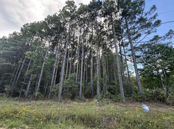 7214 Jericho Road, Pine Bluff, AR 71603
