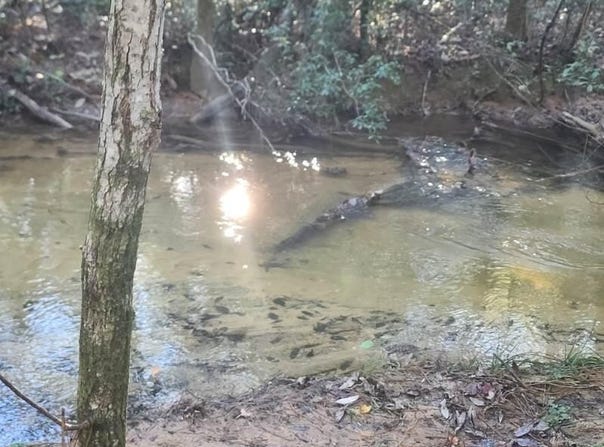 4 Ac Seven Oaks Road, DeFuniak Springs, FL 32433