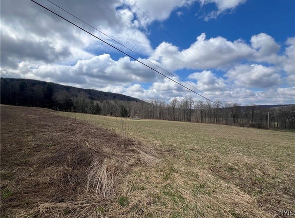 951 County Road 42, Pharsalia, NY 13155