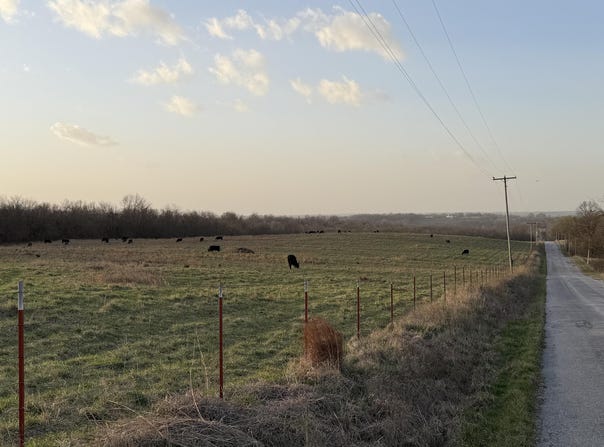 Tract 3 Dade 142, South Greenfield, MO 65752