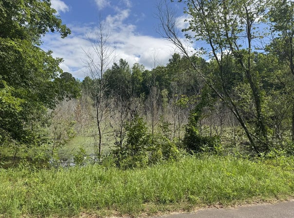 Festival Trail Road, Salley, SC 29137