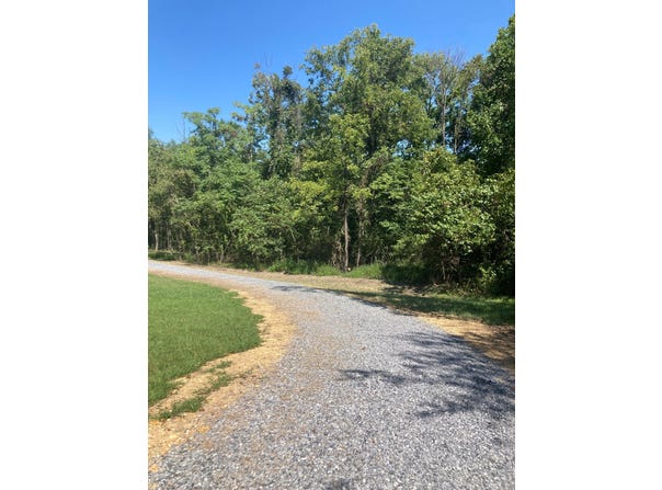 0 Creasy RD, Blue Ridge, VA 24064