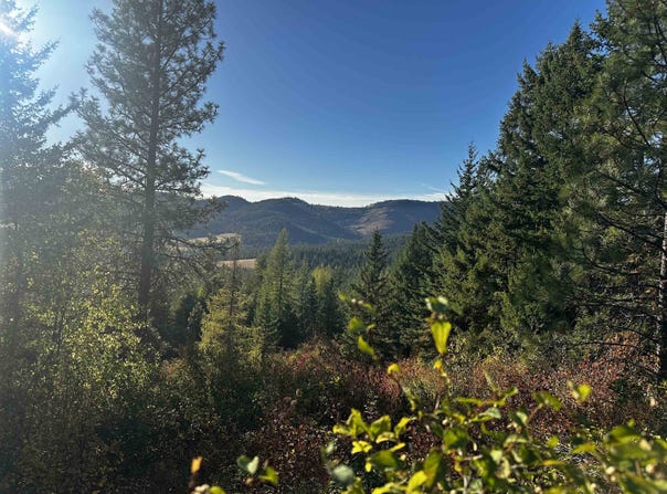 Tbd Old CC Rd, Addy, WA 99101