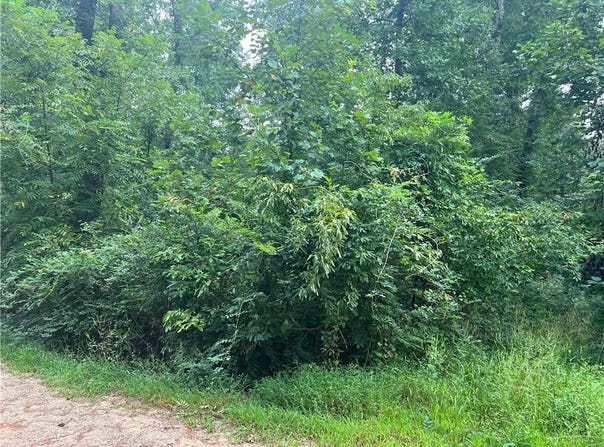 0 Mulligan Way, Jasper, GA 30143