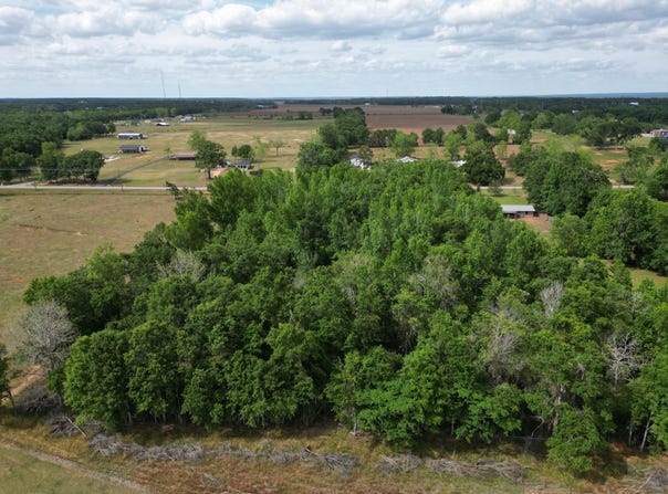 2000 Molino Road, Molino, FL 32577