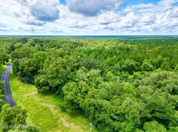 190 Gumpond Beall Road, Lumberton, MS 39455