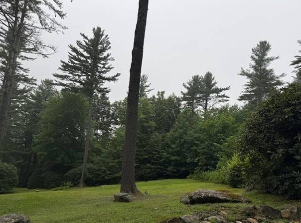 tbd  Royal Pines Drive, Newland, NC 28657