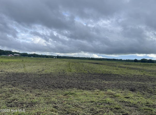 Tbd Ryland Road, Tyner, NC 27980