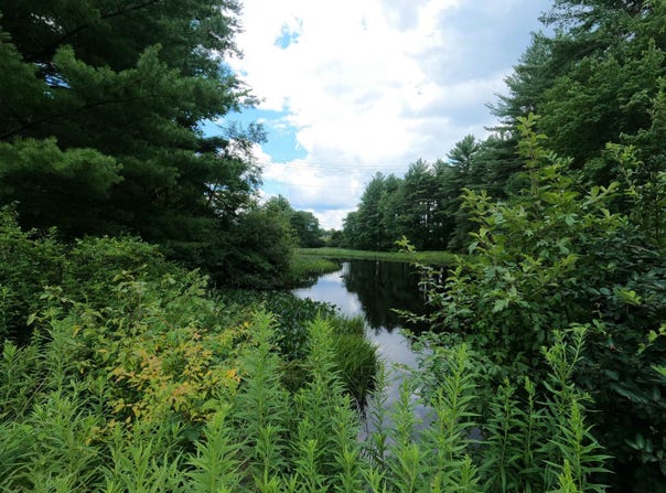 12 Lots For Sale on Mill Street lot: 284, 285, 62, 64, 65, 66, 67, 68, 69, 70, 71, 72, Templeton, MA 01436