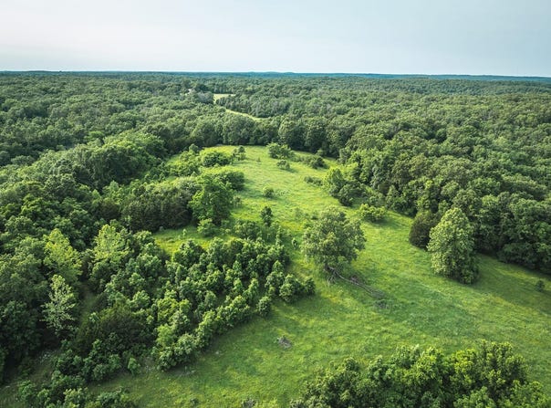 TBD Burley Ridge Rd, Cook Station, MO 65449