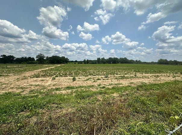 8 Acres Lot 9 J Saunders, Dothan, AL 36305