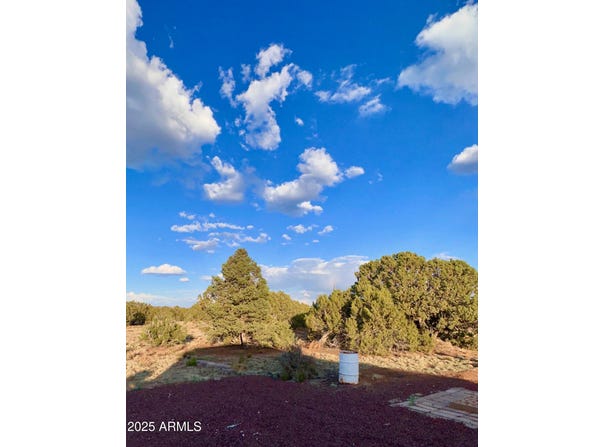 47 County Rd 8306 --, Concho, AZ 85924