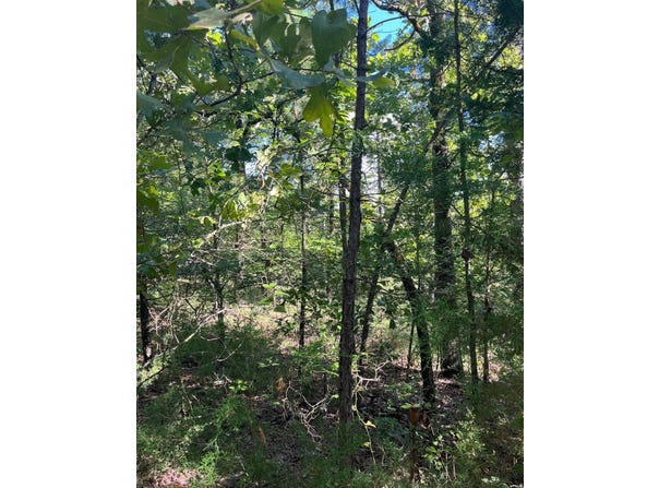 Tract 6 SE 1083 Road Ave, Red Oak, OK 74563