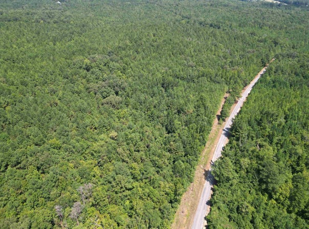 Co Rd 26, Detroit, AL 35552