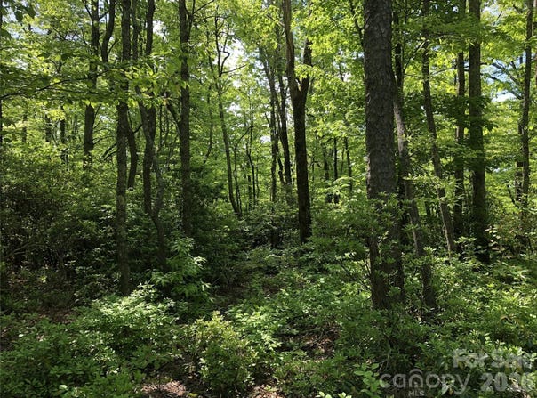 Millard Crossing, Hendersonville, NC 28792