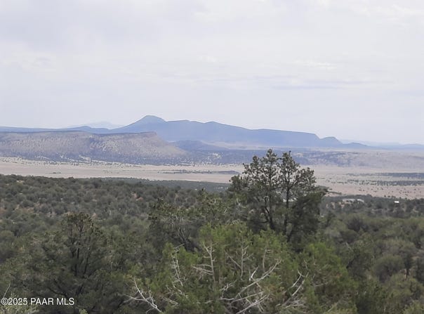 49203 N Sundance Way, Seligman, AZ 86337