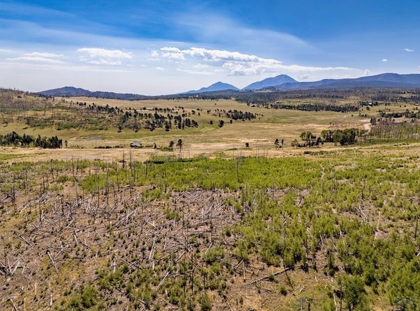 Noel Pl lot: 1909, Fort Garland, CO 81133