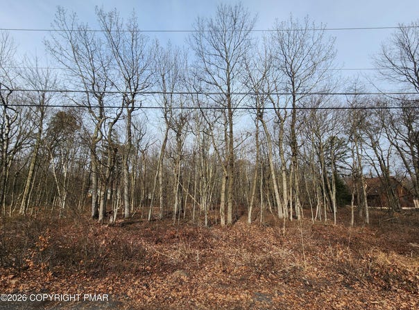 Panther Run Rd lot: D419, Jim Thorpe, PA 18229