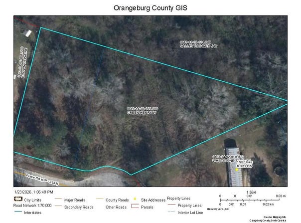 Flake Road, Orangeburg, SC 29115