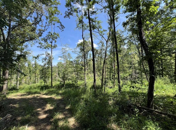 3708 E New Roe Road, Adolphus, KY 42120