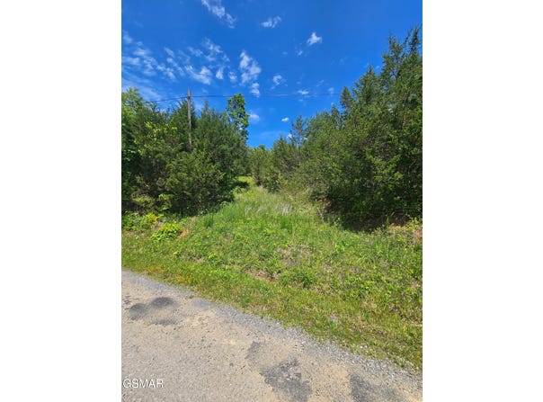 3.35 Oakwood Road, Midway, TN 37809