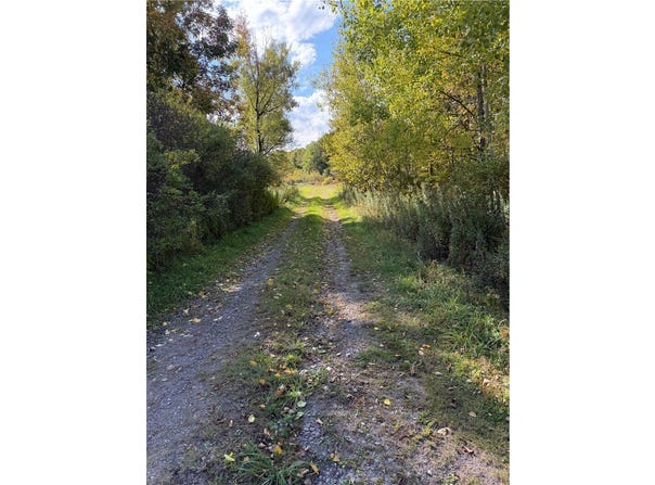 Hardknocks Road, Unadilla, NY 13849