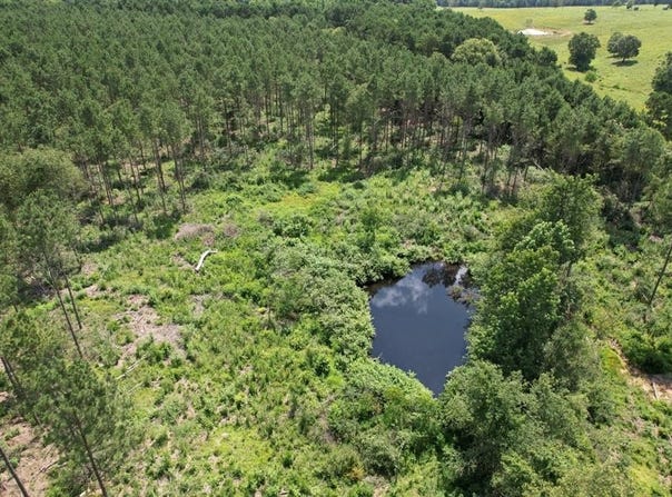 Tbd County Road 3706, Tenaha, TX 75974