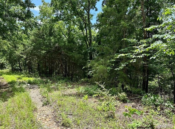 Tbd Bluebird Lane, Rolla, MO 65401