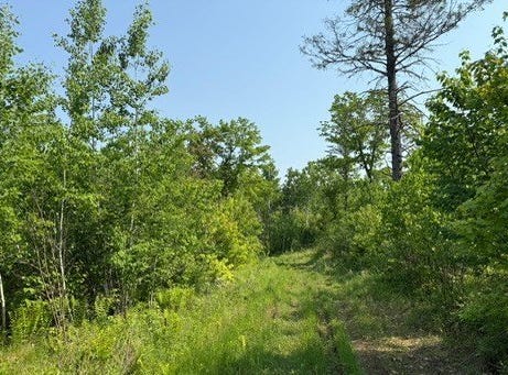 Tbd County Road T, Dairyland, WI 54830