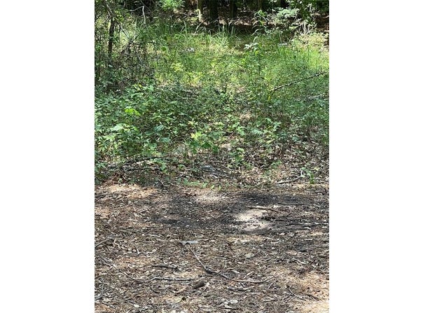 0 Ranchland Drive, Grand Cane, LA 71032