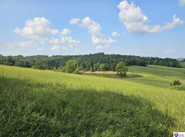 Tract 8 Troutman Lane, Clarkson, KY 42726-9999