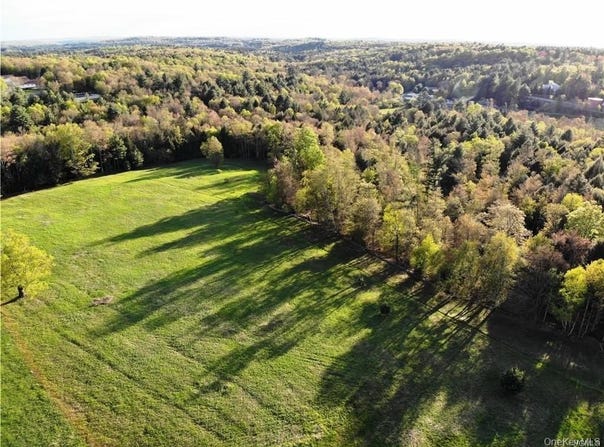 Benmosche Road, Monticello, NY 12701