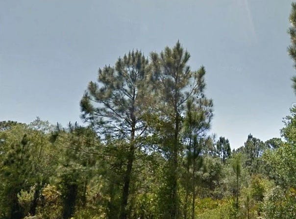 13077 Rankin Avenue, Port Charlotte, FL 33953