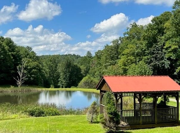Tbd Cove Ln, Woodlawn, VA 24381