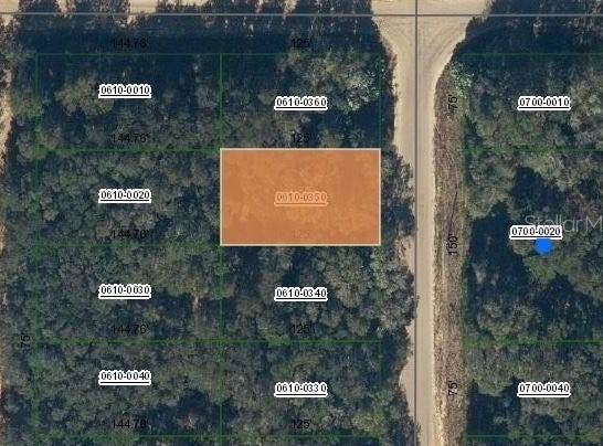 ANNETTE AVENUE, INTERLACHEN, FL 32148