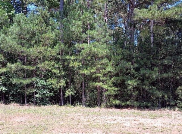 224 Riverwalk Drive, Connelly Springs, NC 28612