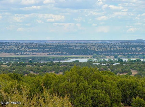 8063 Mustang Ln 10 Acres, Show Low, AZ 85901
