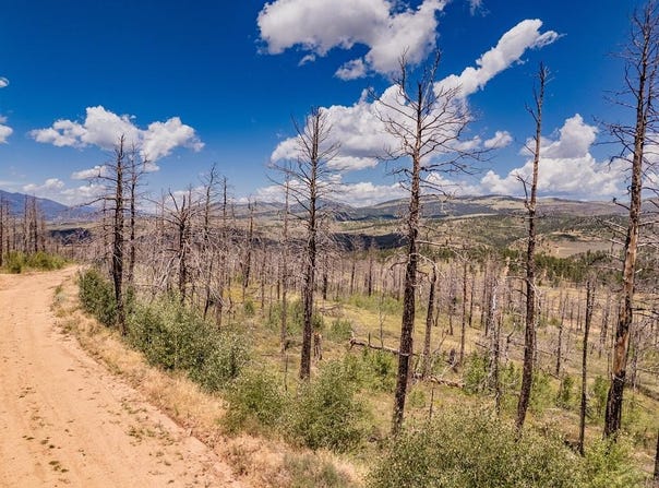 Mulligan lot: 459, Fort Garland, CO 81133
