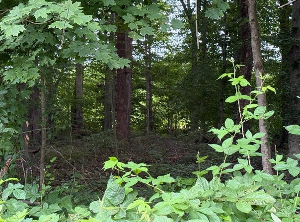 Lot 11 Pickett Ln, Jamestown, KY 42629