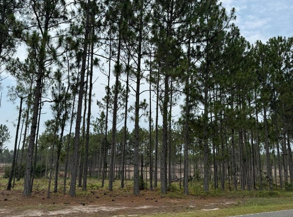1421/Lot13 Cooks Bridge Road, Aiken, SC 29805