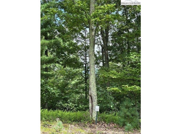 Lot 17 Sunset Ridge Drive, Boone, NC 28607