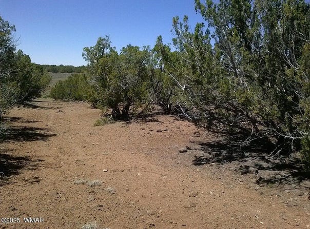 Tbd CR 8026, Concho, AZ 85924