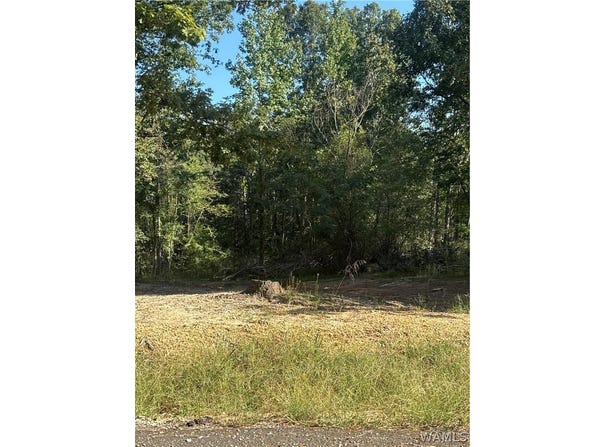 5237 Eastern Ridge circle, Cottondale, AL 35453