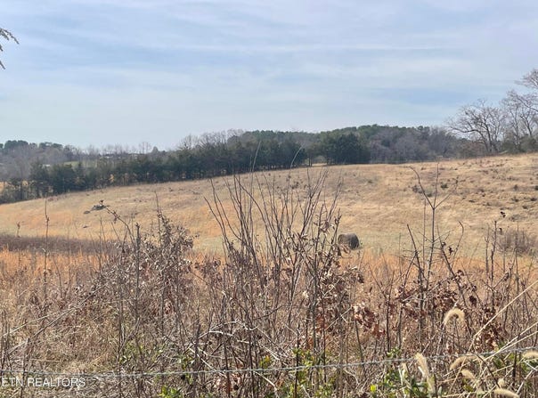 Lot 5 Highway 66, Bulls Gap, TN 37711