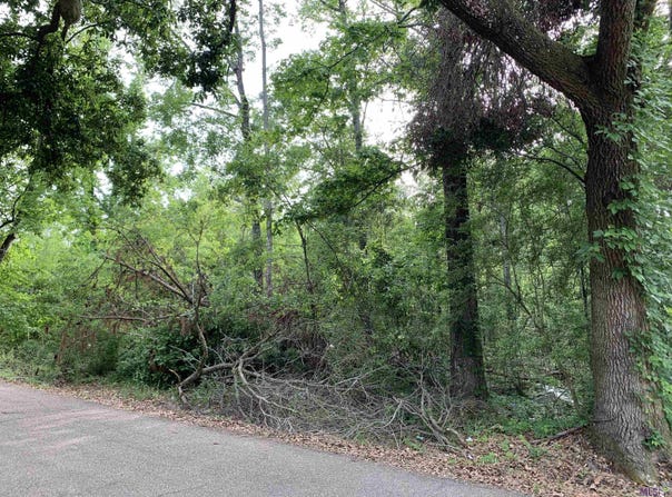Lot E Klein Rd, Hammond, LA 70403