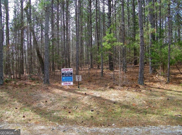 Lot 7 Blackberry Bend, Elberton, GA 30635