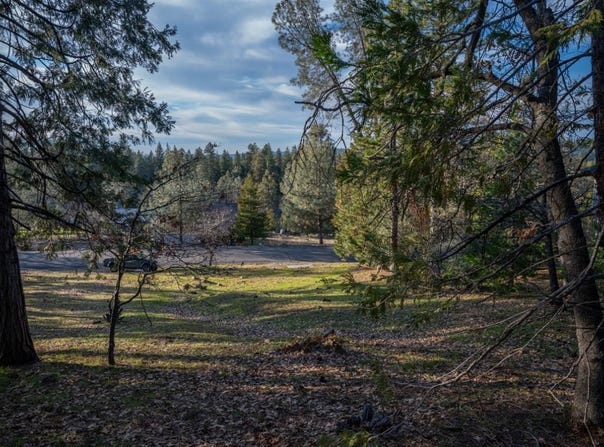 297 Forest Meadows Drive, Murphys, CA 95247