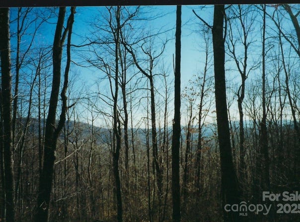 Damselfly Court lot: #35, Spruce Pine, NC 28777